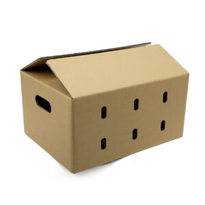 Cardboard Boxes With Holes