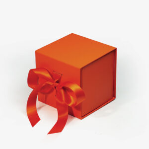 Cardboard Ribbon Closure Boxes