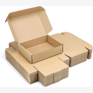 Cardboard Recycled Kraft Boxes