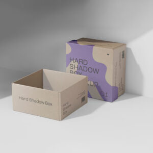 Cardboard Shadow Boxes