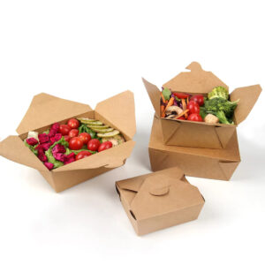 Cardboard Meal Prep Boxes